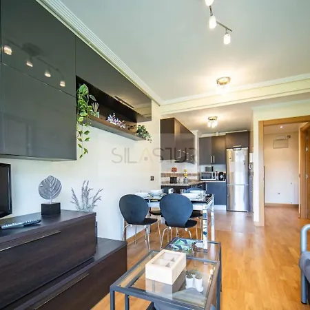 Mirador Al Naranco By Silastur Apartment *